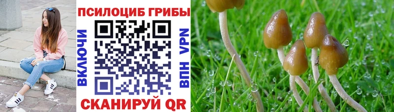 Галлюциногенные грибы мицелий  Бакал 