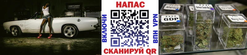 МАРИХУАНА ГИДРОПОН Бакал